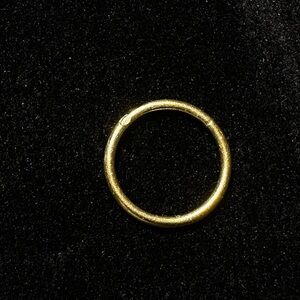 18k Solid Gold Hinged Ring 16g 11mm